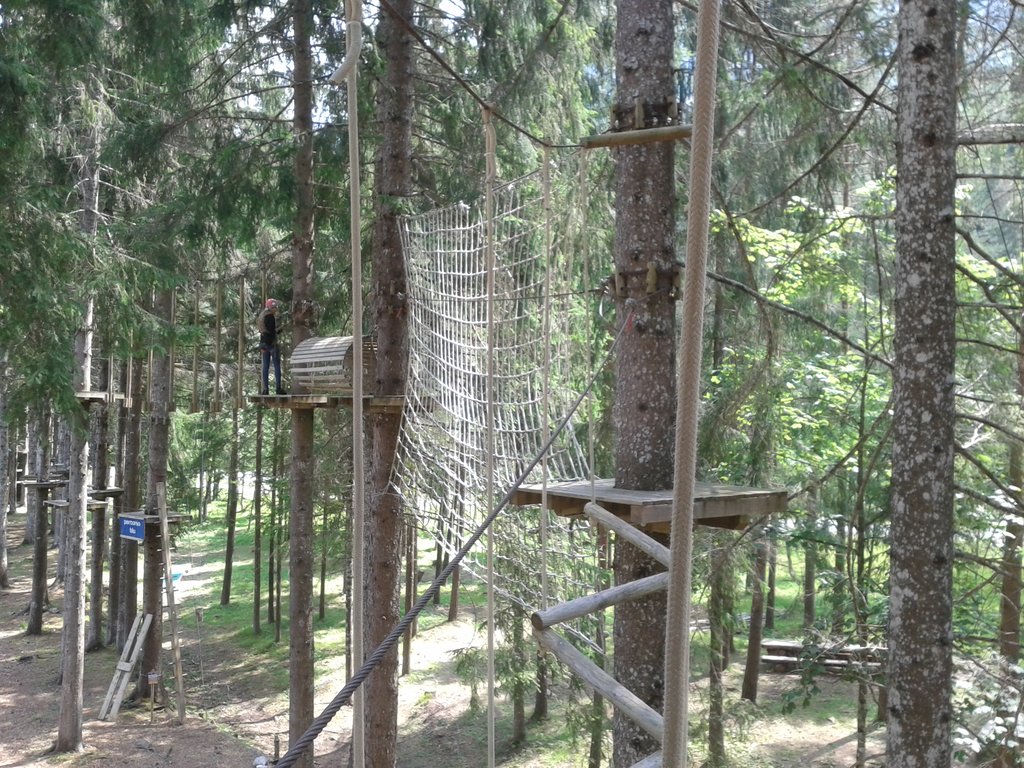 Foto 347